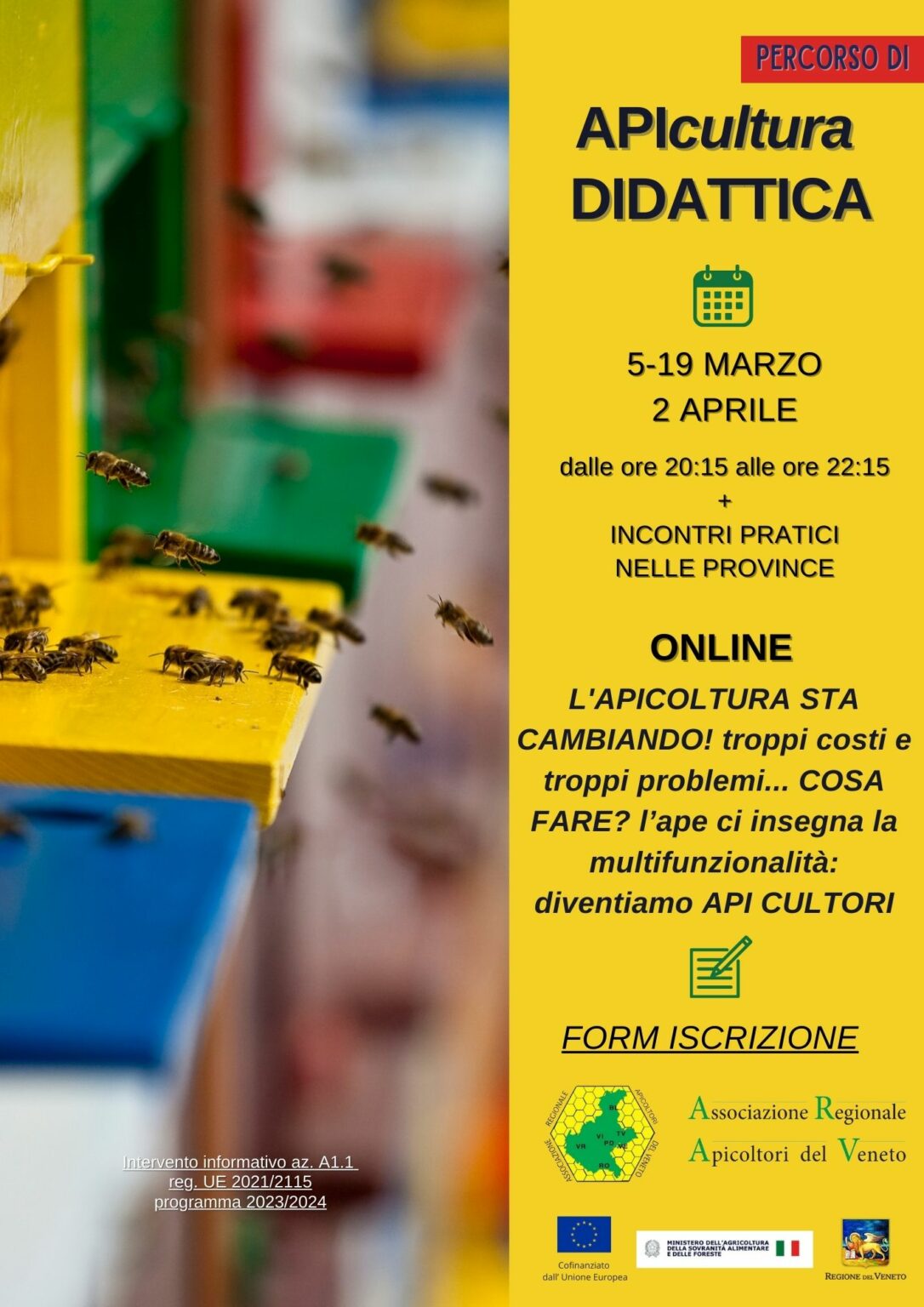 L'Associazione Regionale Apicoltori del Veneto organizza il percorso formativo di APIcultura Didattica da marzo 2024