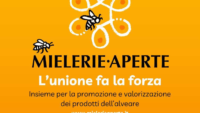 Progetto senza titolo