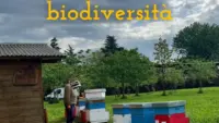 Le api, custodi dell’ambiente e della biodiversità (5)