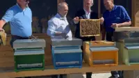 cava amica montebelluna